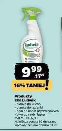 Netto Płyn ekologiczny do czyszczenia kabin prysznicowych Ludwik oferta