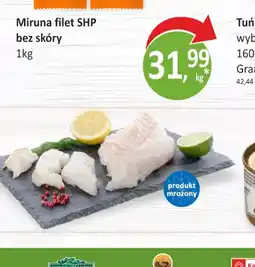 Passa Miruna filet SHP oferta