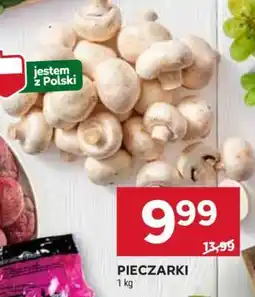 Stokrotka Market Pieczarki oferta