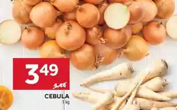 Stokrotka Market Cebula oferta
