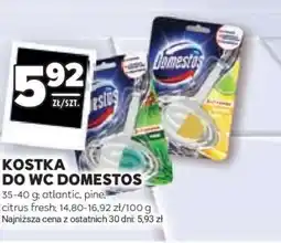 Stokrotka Market Kostka do WC Domestos oferta