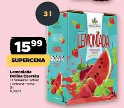 Netto Lemoniada Dolina Czerska oferta