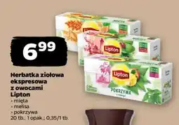 Netto Herbatka ziołowa ekspresowa z owocami Lipton oferta