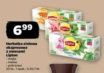 Netto Herbatka ziołowa ekspresowa z owocami Lipton oferta