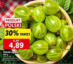 Lidl Polski agrest oferta
