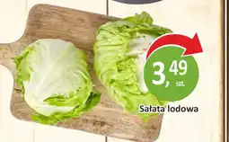 Passa Sałata lodowa oferta