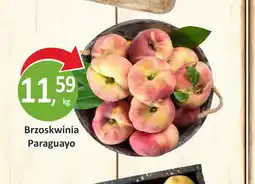 Passa Brzoskwinia Paraguayo oferta