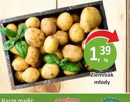Passa Ziemniak młody oferta