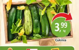 Passa Cukinia oferta