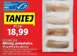 Lidl Ocean Sea Mintaj, polędwica oferta