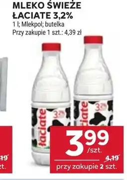 Stokrotka Market Mleko Łaciate oferta