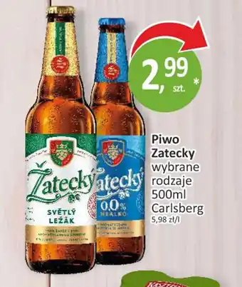 Passa Piwo Zatecky oferta