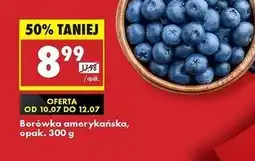 Biedronka Borówki amerykańskie oferta