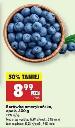 Biedronka Borówki amerykańskie oferta