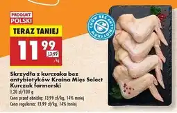 Biedronka Skrzydła z kurczaka farmerskiego Kraina Mięs Select oferta