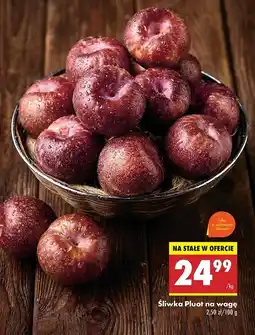 Biedronka Śliwki pluot oferta