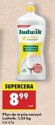 Biedronka Płyn do mycia naczyń cytrynowy Ludwik oferta