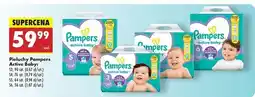 Biedronka Pieluszki dla dzieci 6 Pampers Active Baby oferta