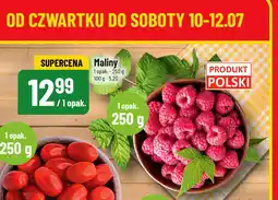 Polomarket Maliny POLOmarket oferta