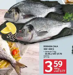 Selgros Dorada cała Selgros oferta