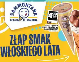 Stokrotka Lody Cinque Stelle rożek XL Sammontana oferta