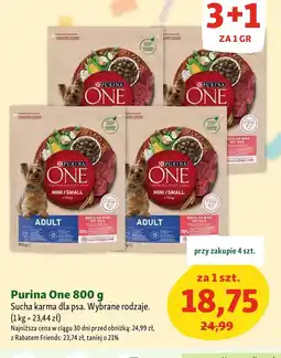 Maxi Zoo Karma dla psa Purina One oferta