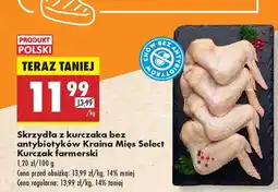 Biedronka Skrzydła z kurczaka Kraina Mięs oferta