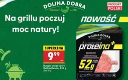 Biedronka Burgery Dolina Dobra oferta