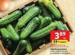 Auchan Ogórki oferta