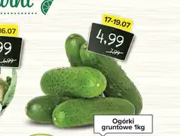 Spiżarnia Smakosza Ogórki oferta