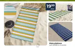 Mrówka plażowa Mata oferta