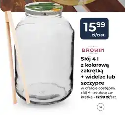 Mrówka Słój BROWIN oferta