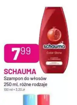 Koliber drogerie Szampon Schauma oferta