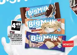 Stokrotka Lód Big Milk oferta