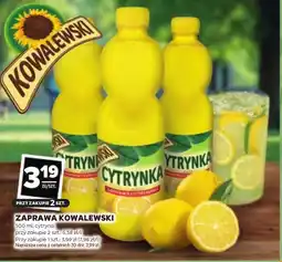 Stokrotka Cytryna Kowalewski oferta