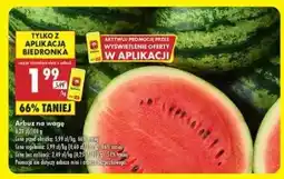 Biedronka Arbuz Biedronka oferta
