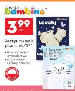 Biedronka Zeszyt do nauki pisania A4/32 oferta