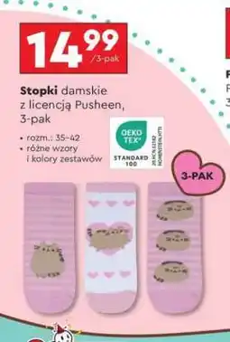 Biedronka Stopki damskie z licencją Pusheen, 3-pak oferta