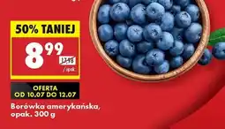 Biedronka Borówka amerykańska opak 300 g oferta