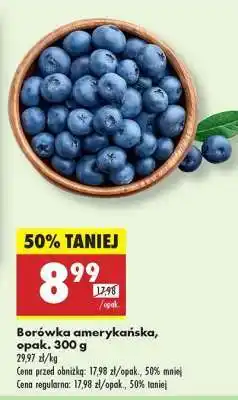 Biedronka Borówka amerykańska opak 300 g oferta