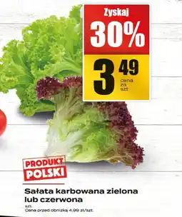 Supeco Sałata farbowana zielona lub czerwona Supeco oferta