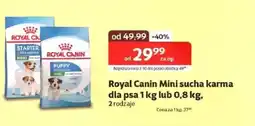 Kakadu Karma dla psa Royal Canin oferta