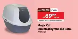 Kakadu Kuweta dla kota Magic cat oferta