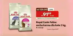 Kakadu Karma dla kota Royal Canin oferta