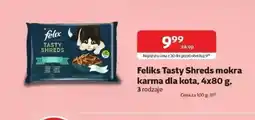 Kakadu Mokra karma dla kota Feliks oferta