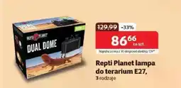 Kakadu Lampa do terrarium Repti planet oferta