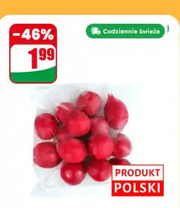 Dino Rzodkiewka 200 g Dino oferta