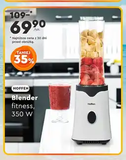 Biedronka Blender Hoffen oferta
