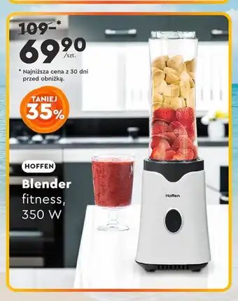 Biedronka Blender Hoffen oferta