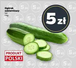 Netto Ogórek szklarniowy luz Netto oferta